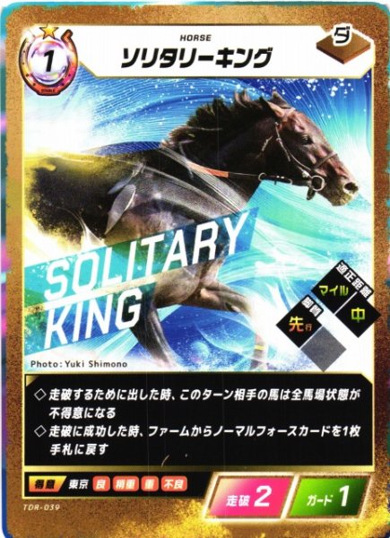 画像1: 【競馬】ソリタリーキング【N】TDR-039 (1)