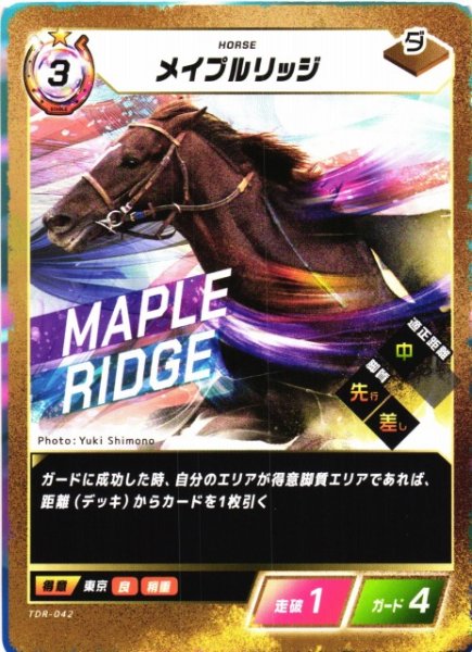 画像1: 【競馬】メイプルリッジ【N】TDR-042 (1)