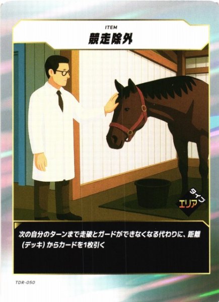 画像1: 【競馬】競走除外【N】TDR-050 (1)
