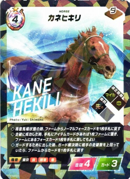 画像1: 【競馬】カネヒキリ【R】TDR-037R (1)
