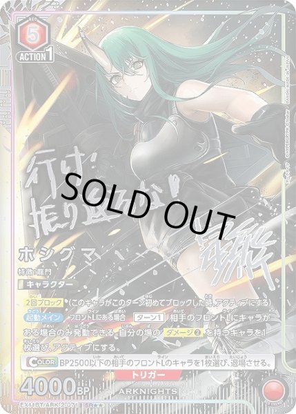 画像1: 【UA】ホシグマ【SR★★】EX11BT/ARK-2-071 (1)