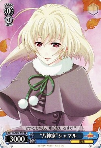 画像1: 【WS】“八神家”シャマル【TD】NA/W12-T10 (1)