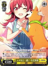 ISC/S81】アイドルマスター シャイニーカラーズヴァイスシュヴァルツ