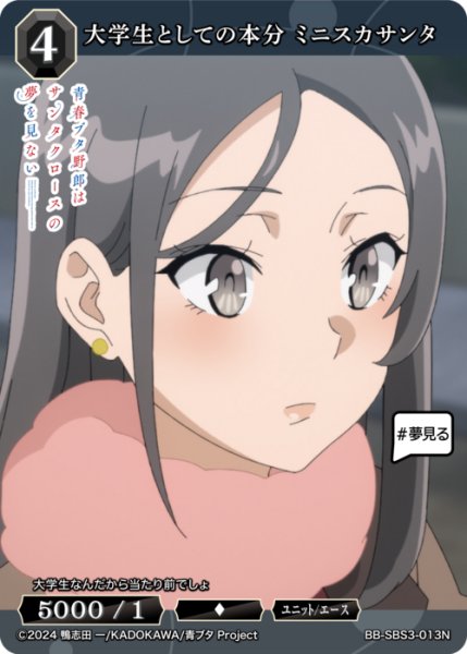 画像1: 【BDB】大学生としての本分 ミニスカサンタ【N】BB-SBS3-013N (1)