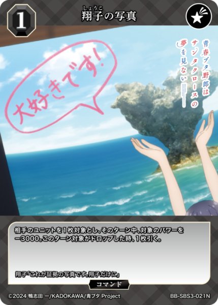 画像1: 【BDB】翔子の写真【N】BB-SBS3-021N (1)