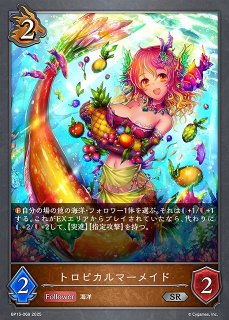 DIG】未来への可能性!!【P/ノーマル旧仕様】P-156〈04〉デジモンカード