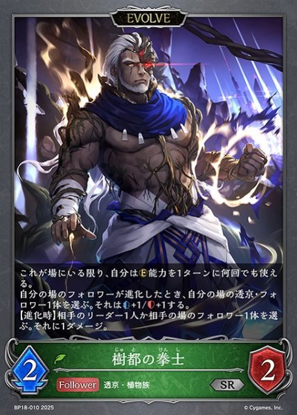 画像1: 【SV】樹都の拳士(EVOLVE)【SR】BP18-010 (1)