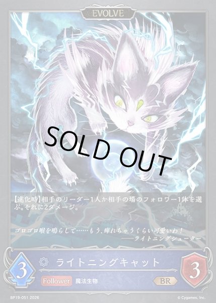 画像1: 【SV】ライトニングキャット(EVOLVE)【BR】BP19-051 (1)