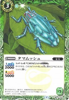 バトスピセレクションパック2022バトルスピリッツ通販ならカード