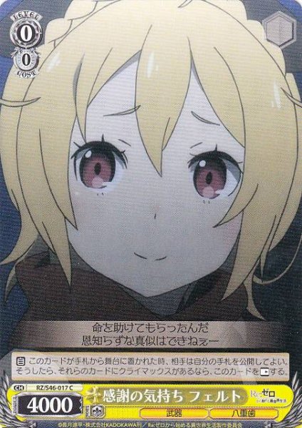 画像1: 【WS】感謝の気持ち フェルト【C】RZ/S46-017 (1)