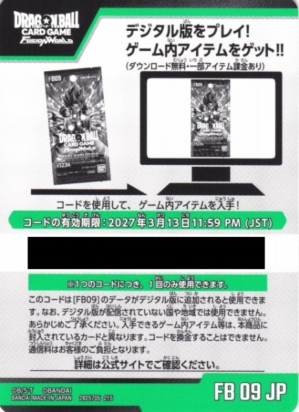 画像1: 【DBFW】シリアルコード　FB09JP (1)