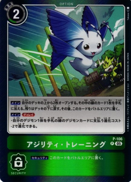 画像1: 【DIG】アジリティ・トレーニング〔AD1収録〕【P】P-106〈05〉 (1)