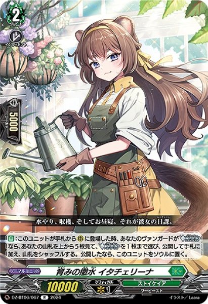 画像1: 【VG】育みの撒水 イタチェリーナ【R】DZ-BT06/067『ストイケイア』 (1)