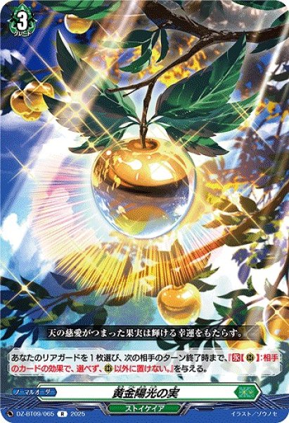 画像1: 【VG】黄金陽光の実【R】DZ-BT09/065『ストイケイア』 (1)