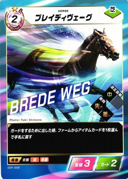 画像1: 【競馬】ブレイディヴェーグ【N】SDF-030 (1)