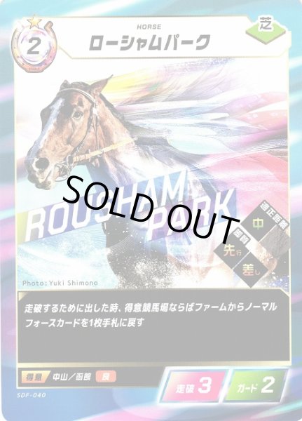 画像1: 【競馬】ローシャムパーク【N】SDF-040 (1)