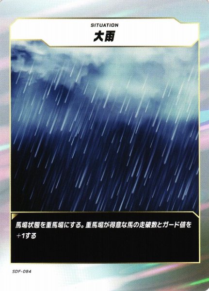 画像1: 【競馬】大雨【N】SDF-084 (1)