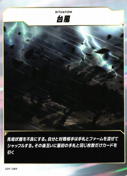 画像1: 【競馬】台風【N】SDF-089 (1)