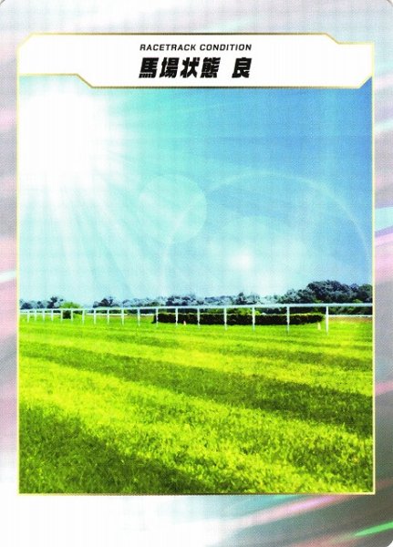 画像1: 【競馬】馬場状態　良【-】 (1)