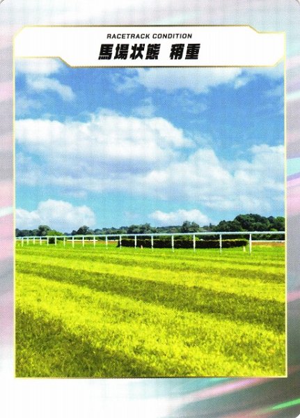 画像1: 【競馬】馬場状態　稍重【-】 (1)