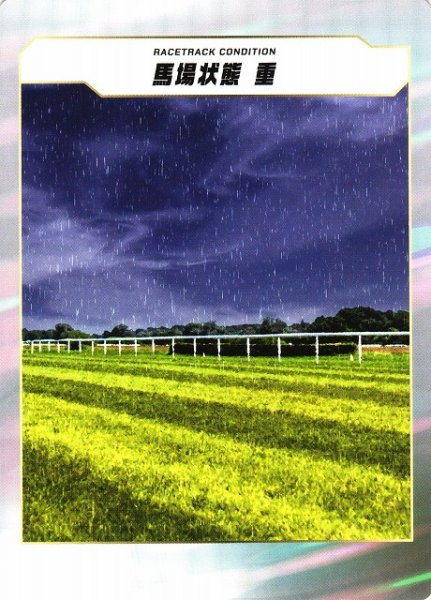 画像1: 【競馬】馬場状態　重【-】 (1)
