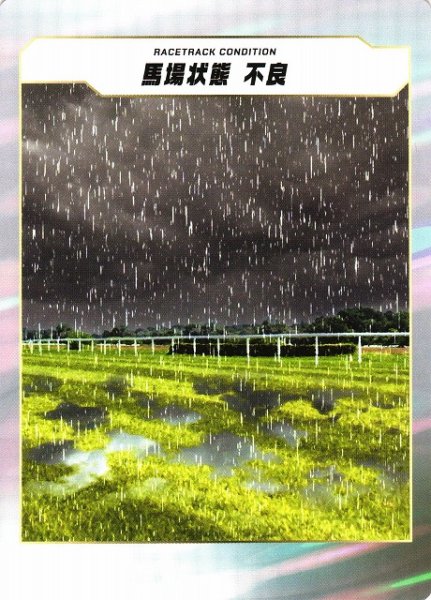 画像1: 【競馬】馬場状態　不良【-】 (1)