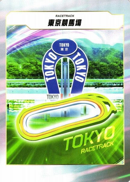 画像1: 【競馬】東京競馬場【-】 (1)