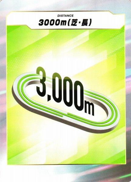 画像1: 【競馬】3000ｍ（芝・長）【-】 (1)