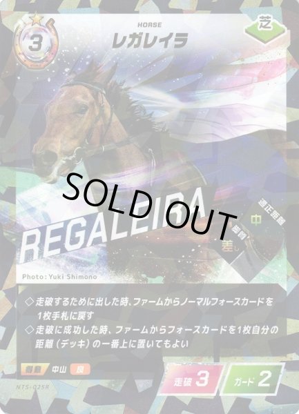 画像1: 【競馬】レガレイラ【R】NTS-025R (1)