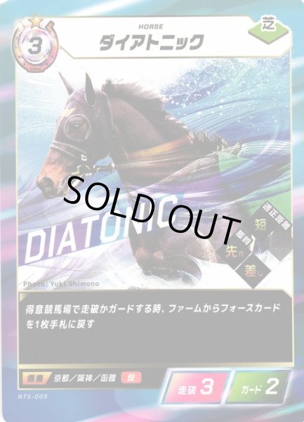 画像1: 【競馬】ダイアトニック【N】NTS-005 (1)