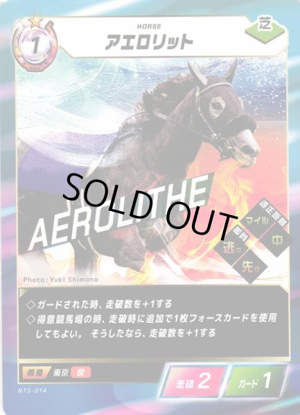 画像1: 【競馬】アエロリット【N】NTS-014 (1)
