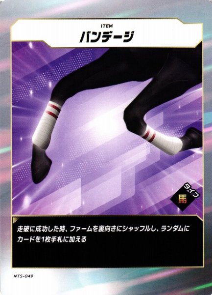 画像1: 【競馬】バンデージ【N】NTS-049 (1)