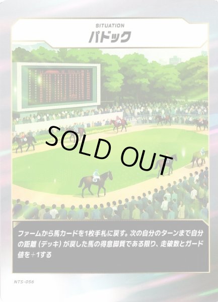 画像1: 【競馬】パドック【N】NTS-056 (1)