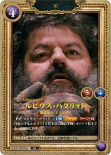 HP】ルビウス・ハグリッド【R☆】02-025a - C-labo OnlineShop