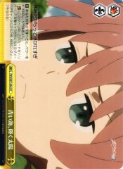 Weiss Schwarz FXX/S57-024 Blue Sea Shining Sun CC DARLING in the FRANXX