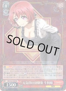 PSA10 GBS/S63-028SP SP 元気印の幼馴染 牛飼娘 ゴブリン