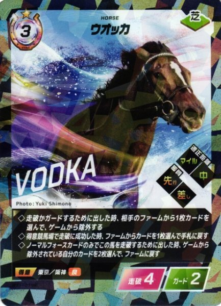 画像1: 【競馬】ウオッカ【R】WEF-019R (1)