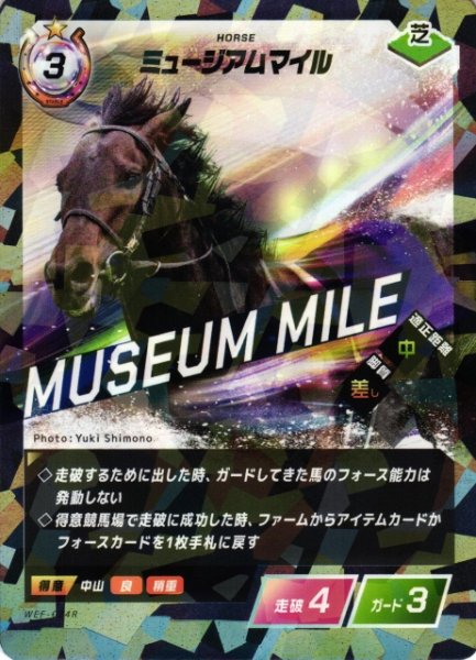 画像1: 【競馬】ミュージアムマイル【R】WEF-024R (1)