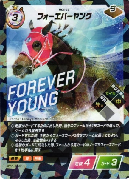 画像1: 【競馬】フォーエバーヤング【R】WEF-034R (1)
