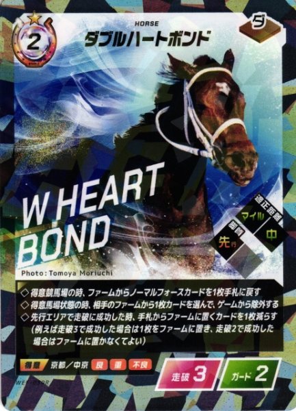 画像1: 【競馬】ダブルハートボンド【R】WEF-039R (1)