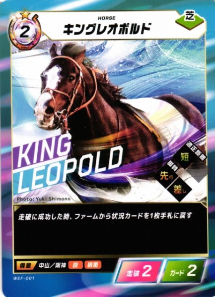 画像1: 【競馬】キングレオポルド【N】WEF-001 (1)