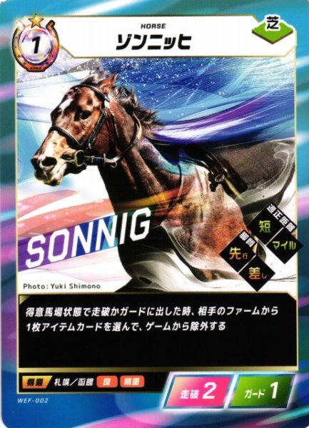 画像1: 【競馬】ゾンニッヒ【N】WEF-002 (1)