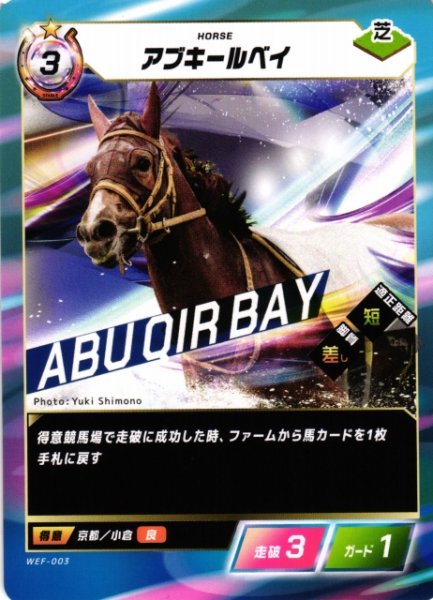 画像1: 【競馬】アブキールベイ【N】WEF-003 (1)