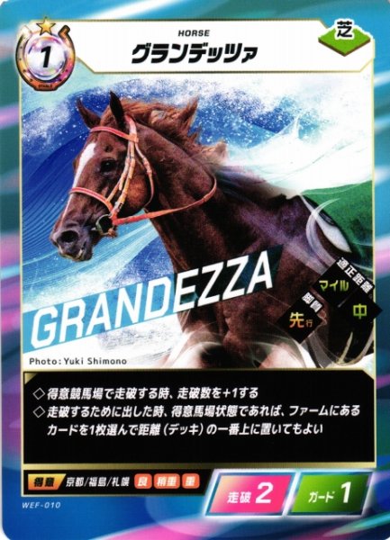 画像1: 【競馬】グランデッツァ【N】WEF-010 (1)