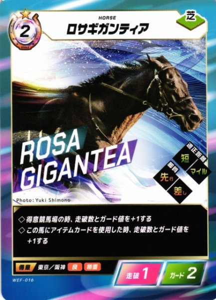 画像1: 【競馬】ロサギガンティア【N】WEF-016 (1)