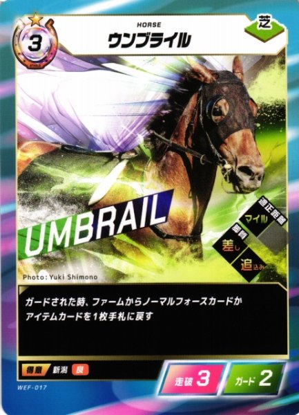 画像1: 【競馬】ウンブライル【N】WEF-017 (1)