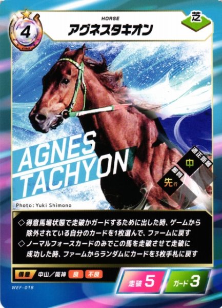 画像1: 【競馬】アグネスタキオン【N】WEF-018 (1)