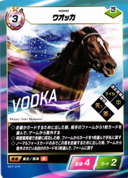 画像1: 【競馬】ウオッカ【N】WEF-019 (1)
