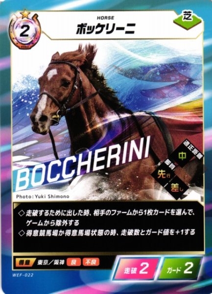 画像1: 【競馬】ボッケリーニ【N】WEF-022 (1)