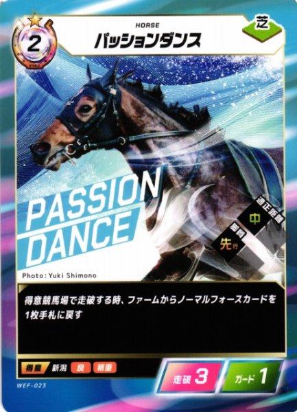 画像1: 【競馬】パッションダンス【N】WEF-023 (1)